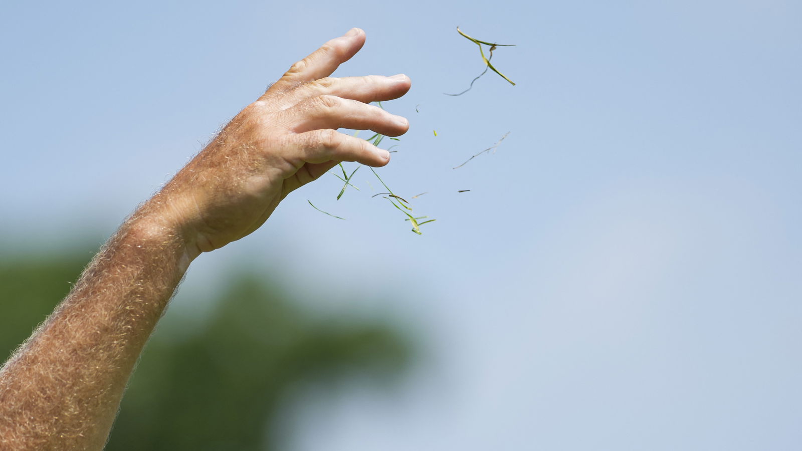 Brandel Chamblee has revealed the most arrogant thing he's ever seen on a golf course
