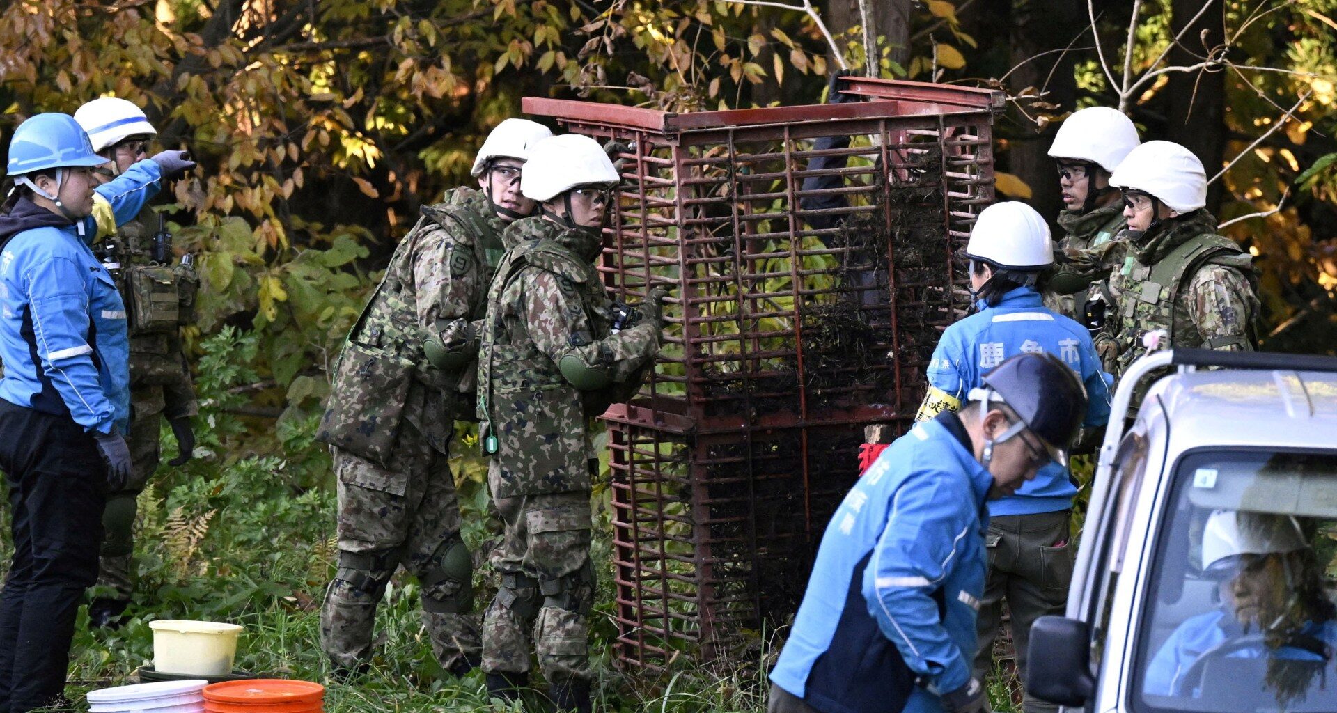What’s behind a surge in bear attacks in Japan? | Wildlife News