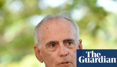 NSW MP rebuffed by security after asking to relocate planned neo-Nazi protest away from parliament | New South Wales