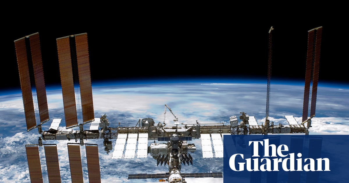 Moss in space: spores survive nine-month ride on outside of ISS | Biology