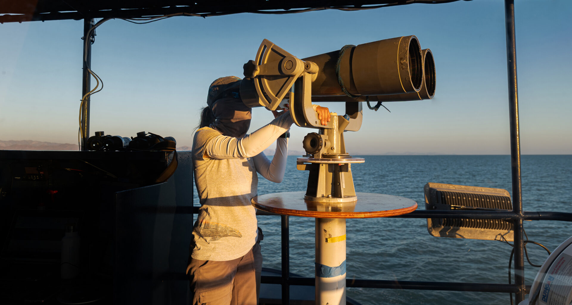 Expert marine mammal researchers used high-powered binoculars called “big eyes” to search for the vaquita porpoises, which are typically hard to see due to their small size and shy nature. Credit: Paula Mosa