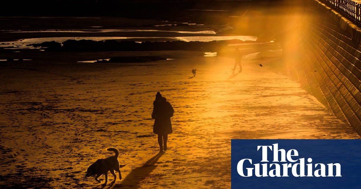 How scientists are shining light on the biology behind seasonal affective disorder | Mental health