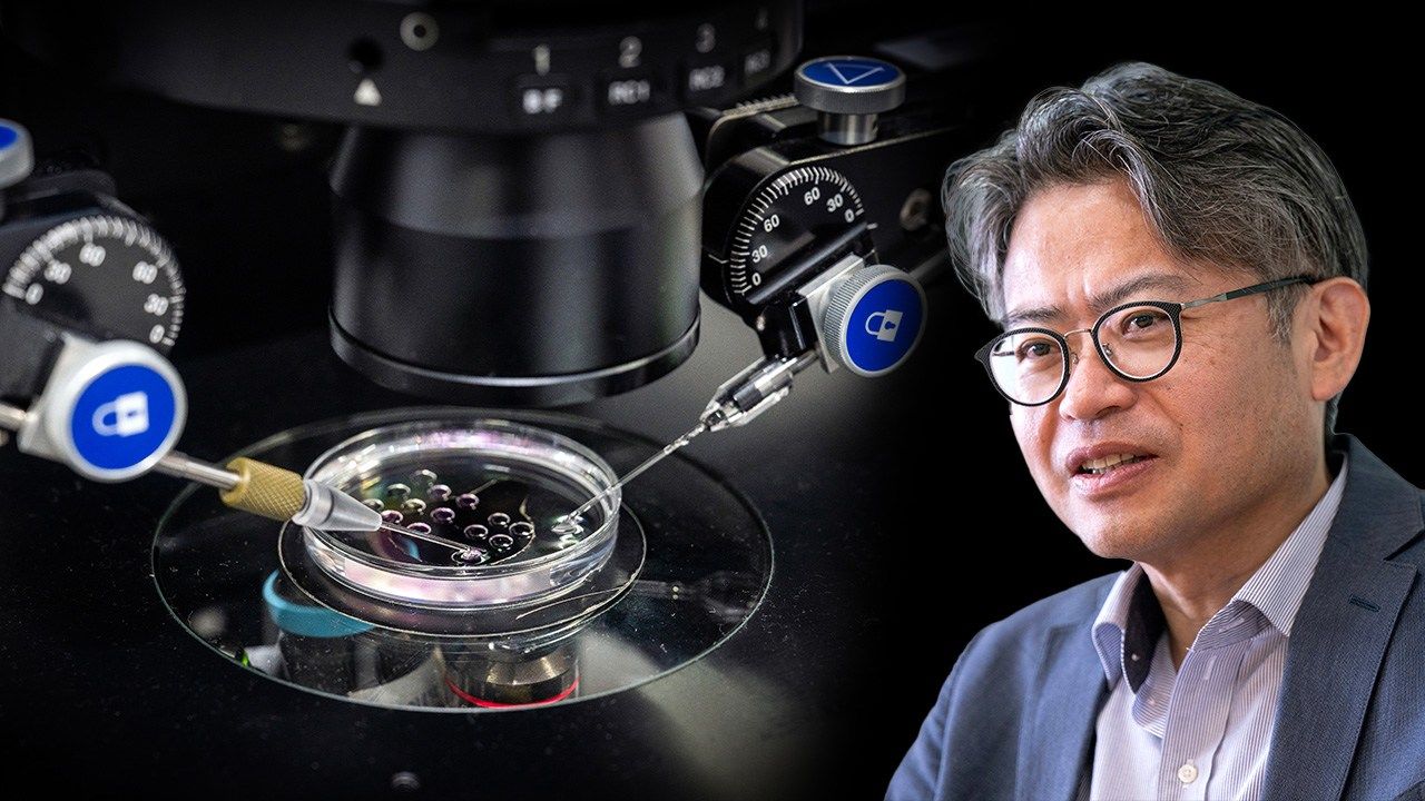 The Twin Potentials of iPS Research: Rejuvenation Promise and Cancer Risk