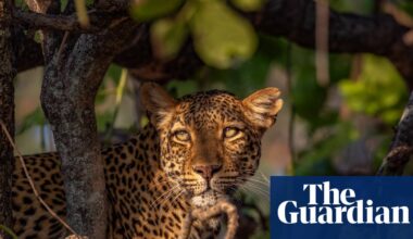 BBC’s Kingdom series gets viewers ‘into the action’ with TV drama techniques | BBC