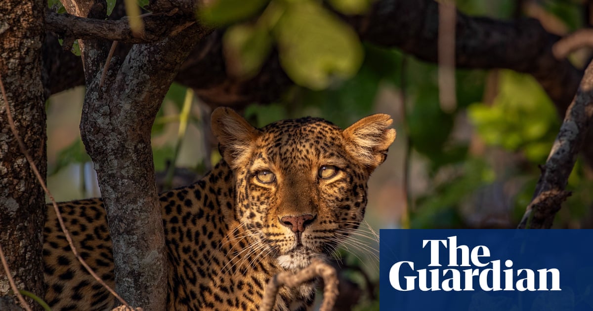 BBC’s Kingdom series gets viewers ‘into the action’ with TV drama techniques | BBC