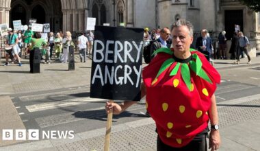 Wimbledon's expansion plans to be challenged in appeal court