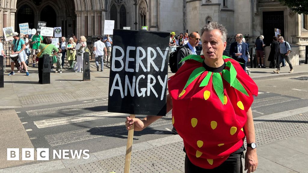 Wimbledon's expansion plans to be challenged in appeal court