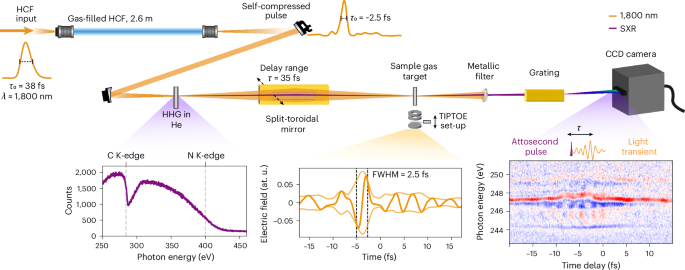 Self-compressed waveform-stable light transients enabling water-window attosecond spectroscopy