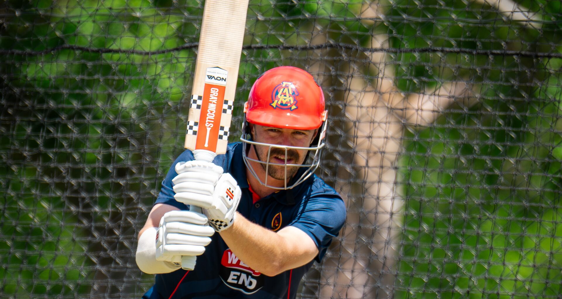 Head, Carey return to squad as South Australia travel to Tasmania in Sheffield Shield