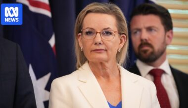 Sussan Ley scrabbling to retain leadership after net zero capitulation puts one advantage at risk