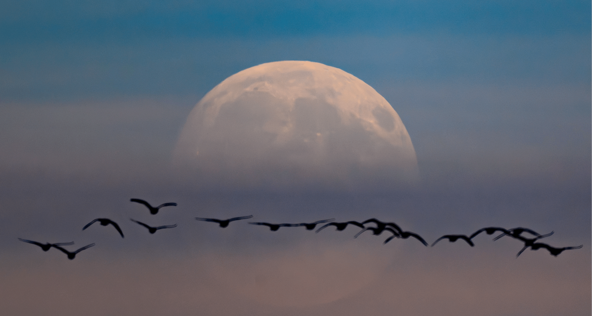 Tonight's supermoon: The biggest full moon of 2025 lights up the sky - news.cgtn.com