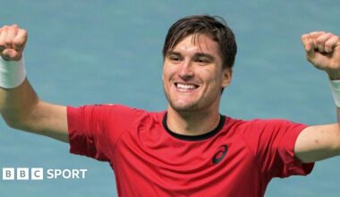 Raphael Collignon celebrates after giving Belgium the lead against France