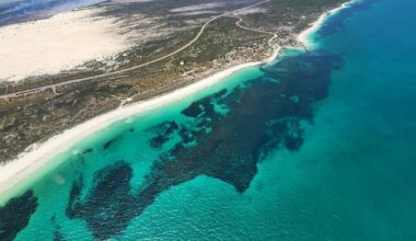 Cervantes: Aussie discovers ‘interesting’ detail about ‘bumf..k’ town on WA’s coast