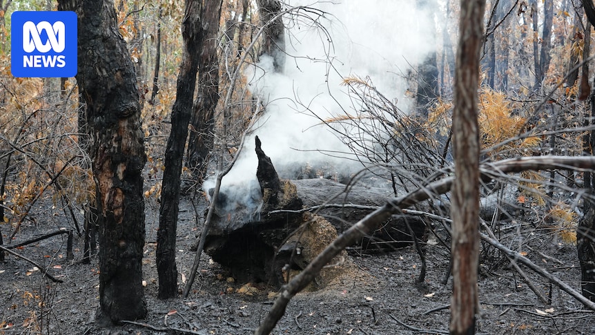 Environmental experts challenge prescribed burn assessment in endangered bird habitat