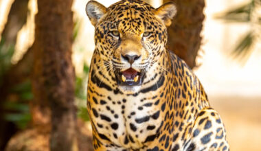 Yahoo lifestyle home