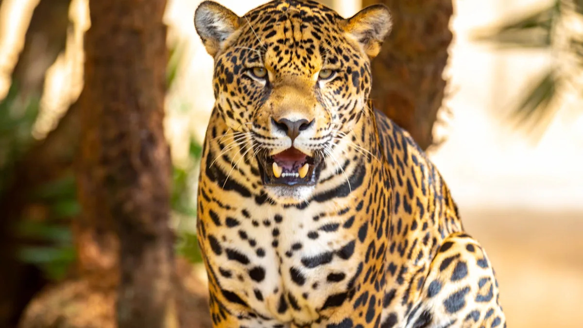 Yahoo lifestyle home