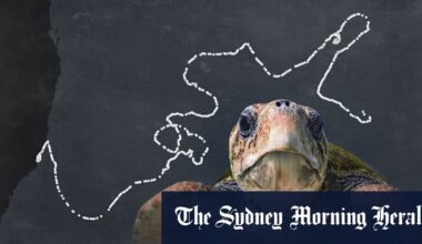 Marine creatures often stay in singular locations for long periods, research says