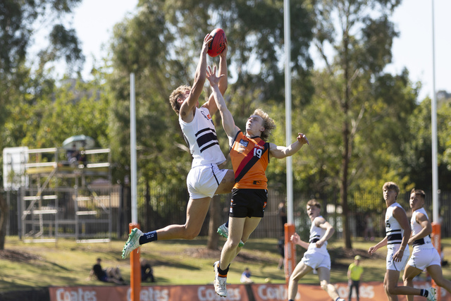 Three Knights in AFL Academy