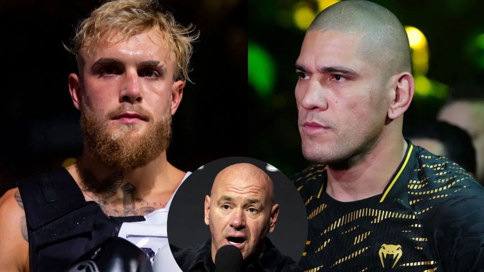 Why Dana White Should Make Jake Paul vs. Alex Pereira Before UFC White House Card