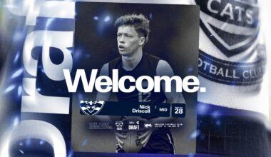 Cats Add Three Players to the Rookie List for 2026
