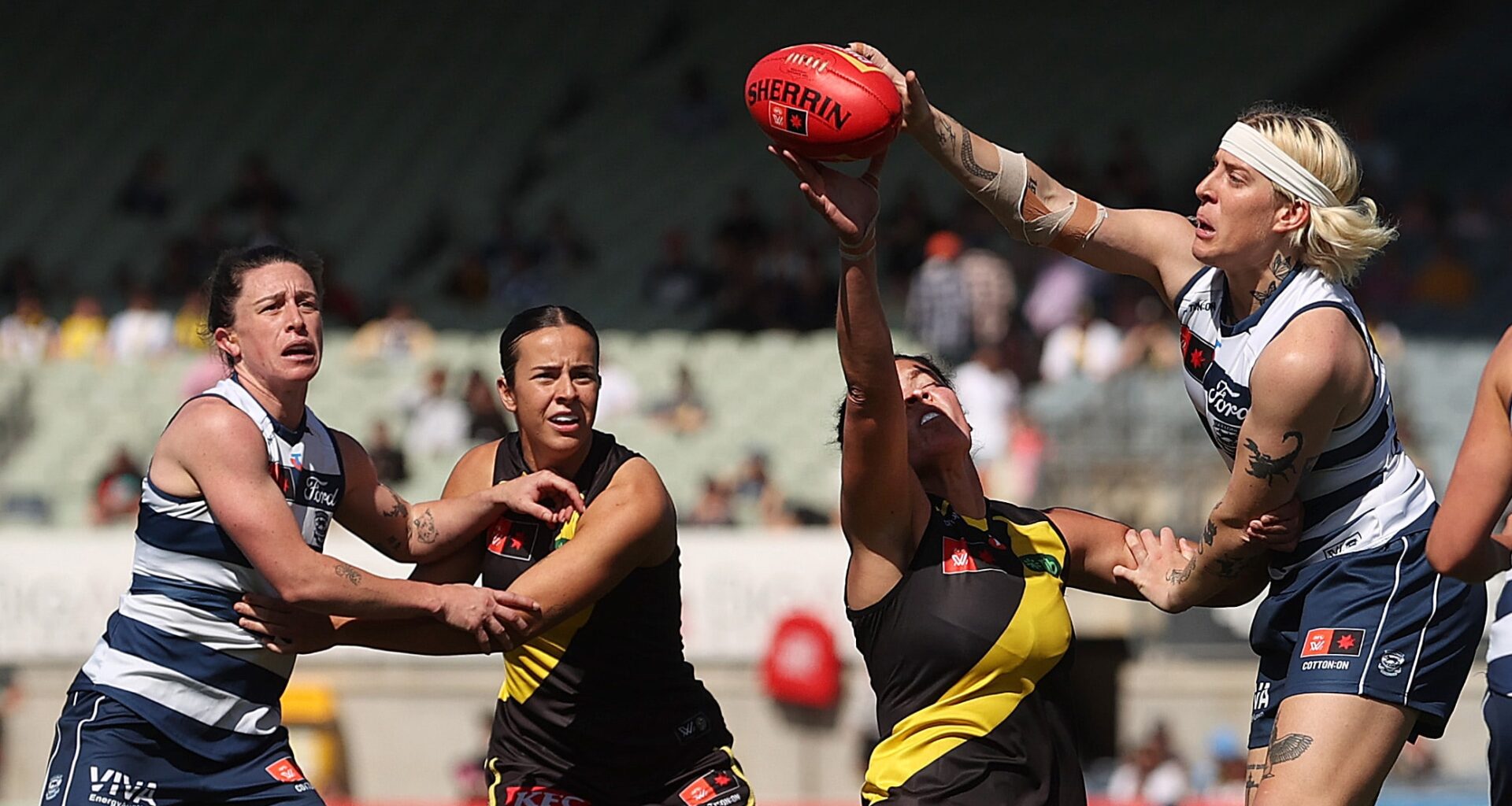 Former top-10 pick among three Cats delisted, Irish talent won't return