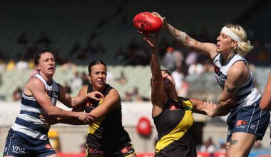 Former top-10 pick among three Cats delisted, Irish talent won't return