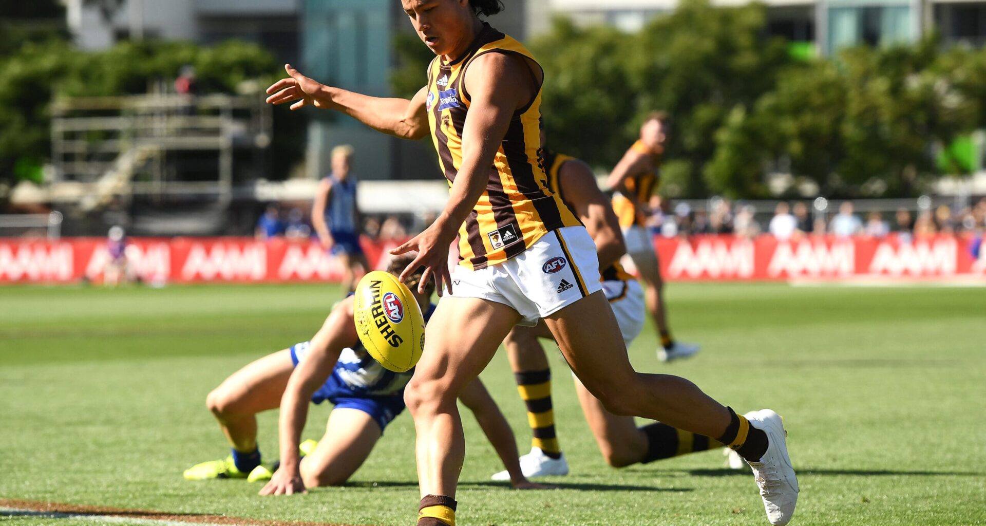 Former Hawk signs with VFL club - AFL News