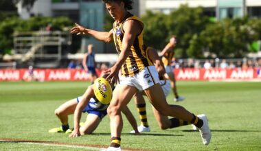 Former Hawk signs with VFL club - AFL News