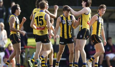 St Kilda make promise to draft Sandringham VFL players