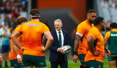Schmidt doubles down on message to fans after Wallabies’ defeat to Ireland