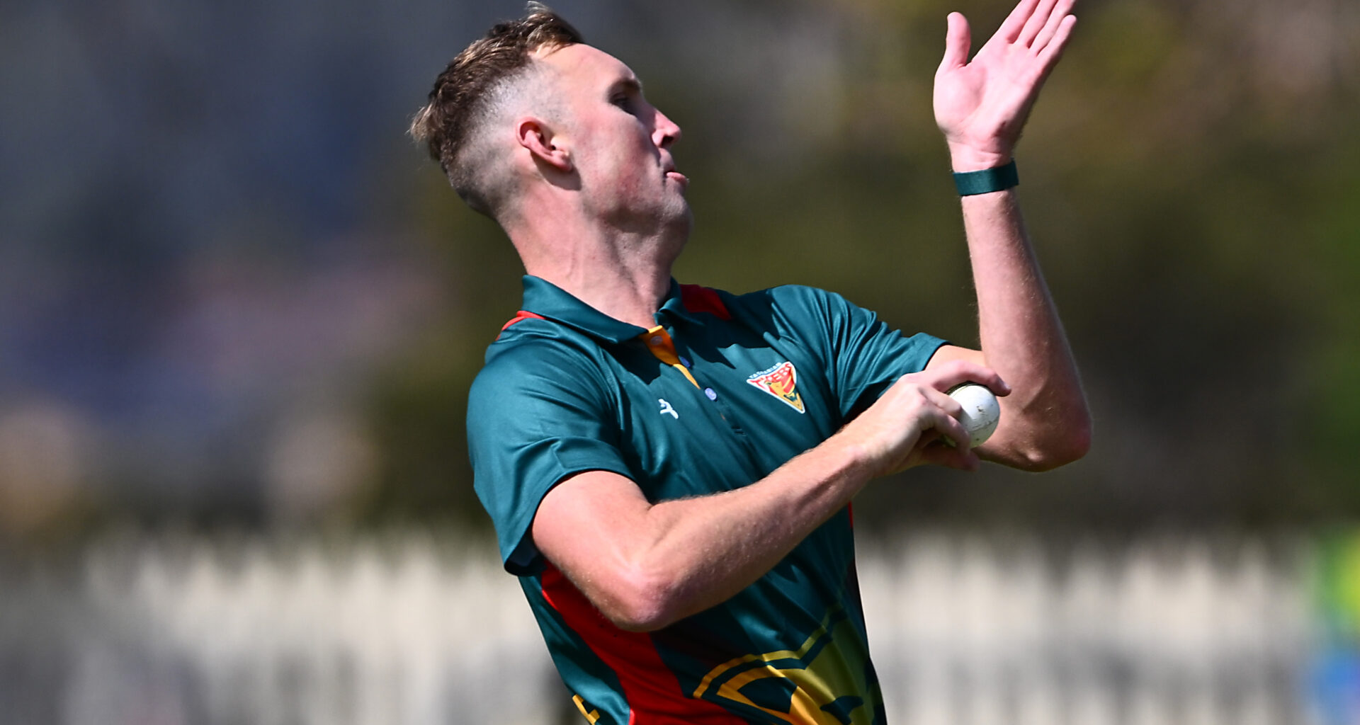 Tasmanian Second XI Squad Release vs NSW