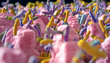 A Crucial Genetic Mutation Behind Crohn's Disease Has Finally Been Revealed : ScienceAlert