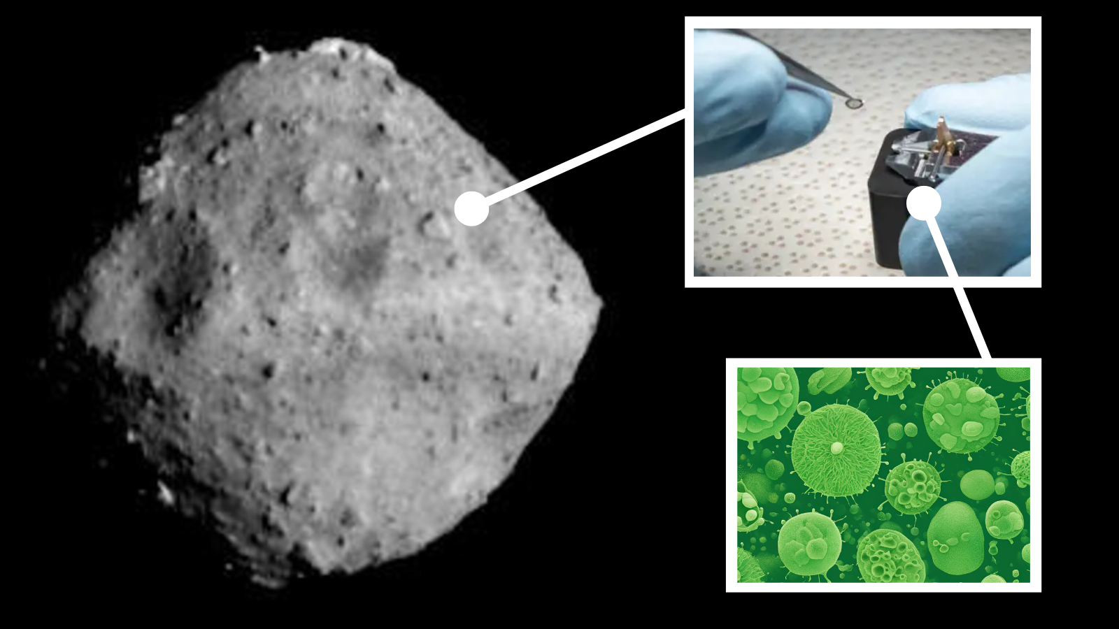 (Main) An image of the asteroid Ryugu as seen by the Japanese mission Hayabusa2 (Top right) a sample of Ryugu provided to NASA scientists (bottom right) an illustration of bacteria