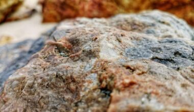 Rocks Found In Australia Could Unveil The Mystery Of The Moon’s Birth