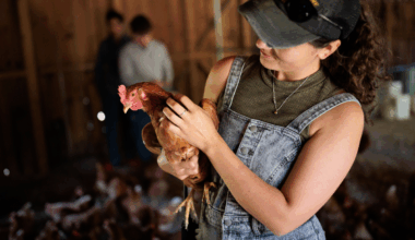 A person wearing a hat and overalls holds a brown chicken inside a barn, with blurred people and more chickens in the background.
