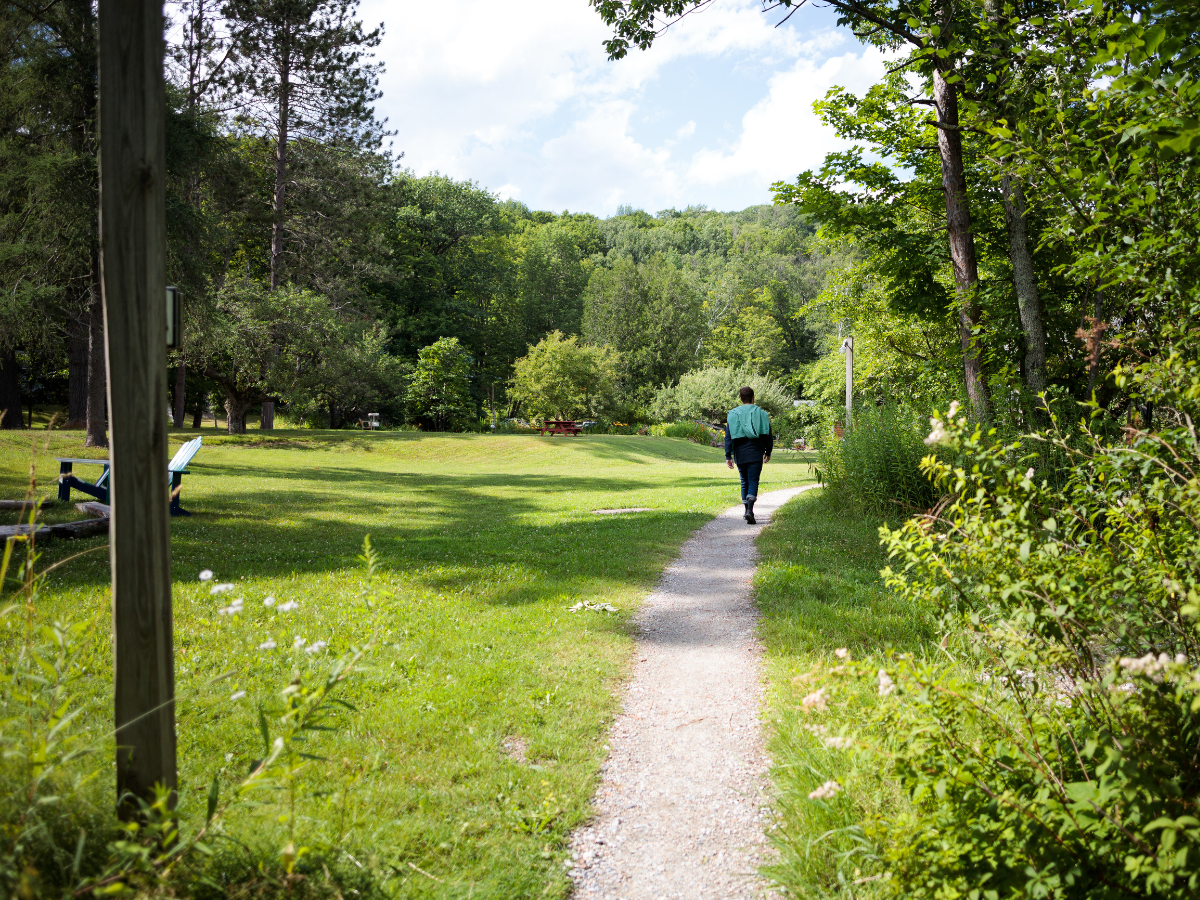 A person walks alone on a gravel path through a green park with trees and grass on a sunny day.