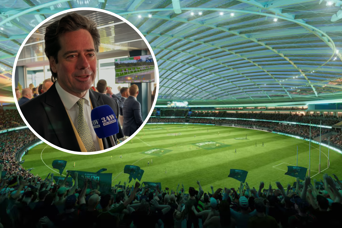 Former AFL CEO's fresh comments on planned Tasmania football stadium