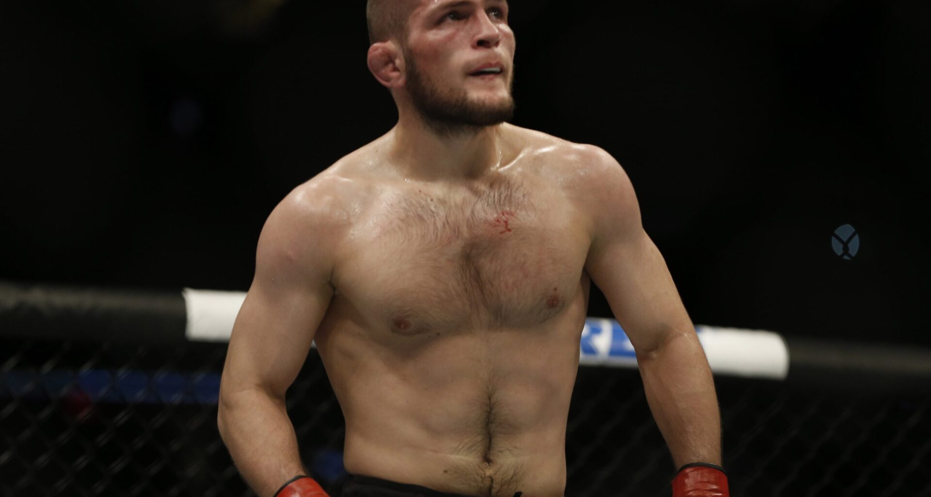 MMA Royalty Randomly Showed Up at the Rocky Steps