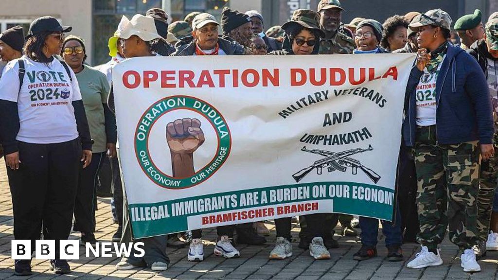 Operation Dudula ordered to stop blocking foreigners from South African healthcare and schools