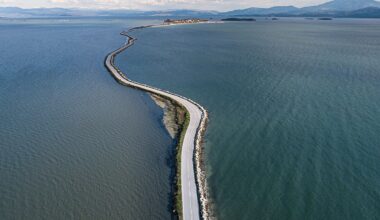New underwater footage sheds light on the secret wildlife of Greece's ambracian gulf.