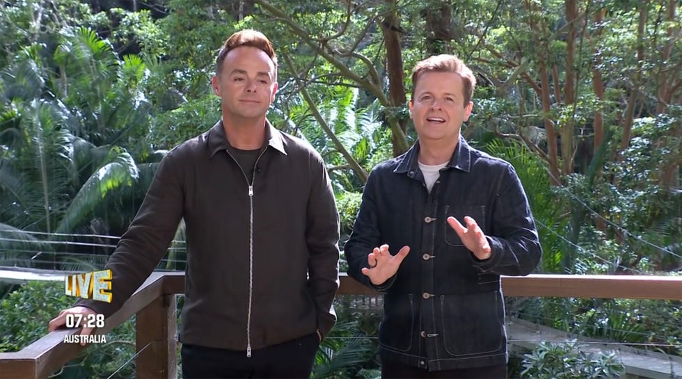 ant and dec on i'm a celebrity