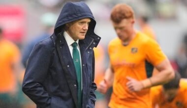 Rugby Australia chief backs Schmidt to stay the course until July handover