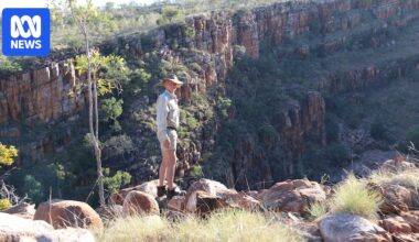 WA grazier accepts wild donkey cull order but refuses to pull the trigger himself