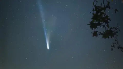 Steve Fearn The bright blue, Comet Lemmon going across the night sky leaving a light train behind it.
