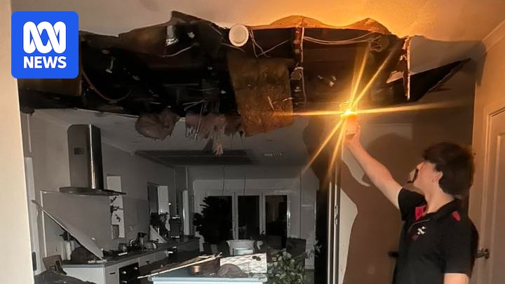 Storm and wind gusts of 119km/h damage homes, trees, powerlines at Port Pirie