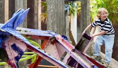 The Art Gallery of NSW has transformed into a space to cook, play, do laundry and linger