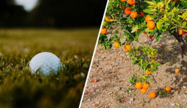 Images courtesy Unsplash/Freepik