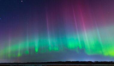 Aurora australis 2025: When to watch, how to see, where will it be most visible in Australia, and everything to know