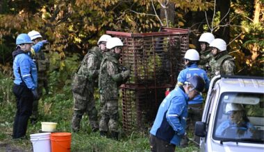 Japan's defense force begins helping tackle bear problem