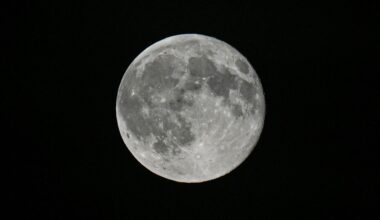 A detailed shot of a grey full moon is pictured against a black sky, sporting bright craters and dark features known as lunar maria.